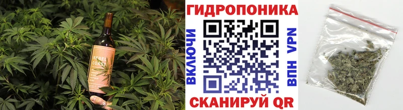 OMG как зайти  Горбатов  Еда ТГК конопля 