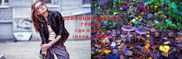 дистиллят марихуана Дмитриев