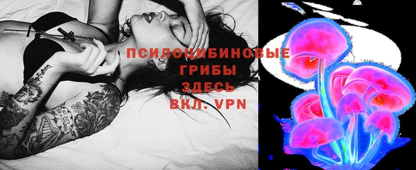 герыч Дмитровск